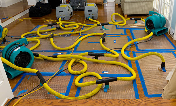 Professional Flood Damage Restoration technician working in Elgin, OH